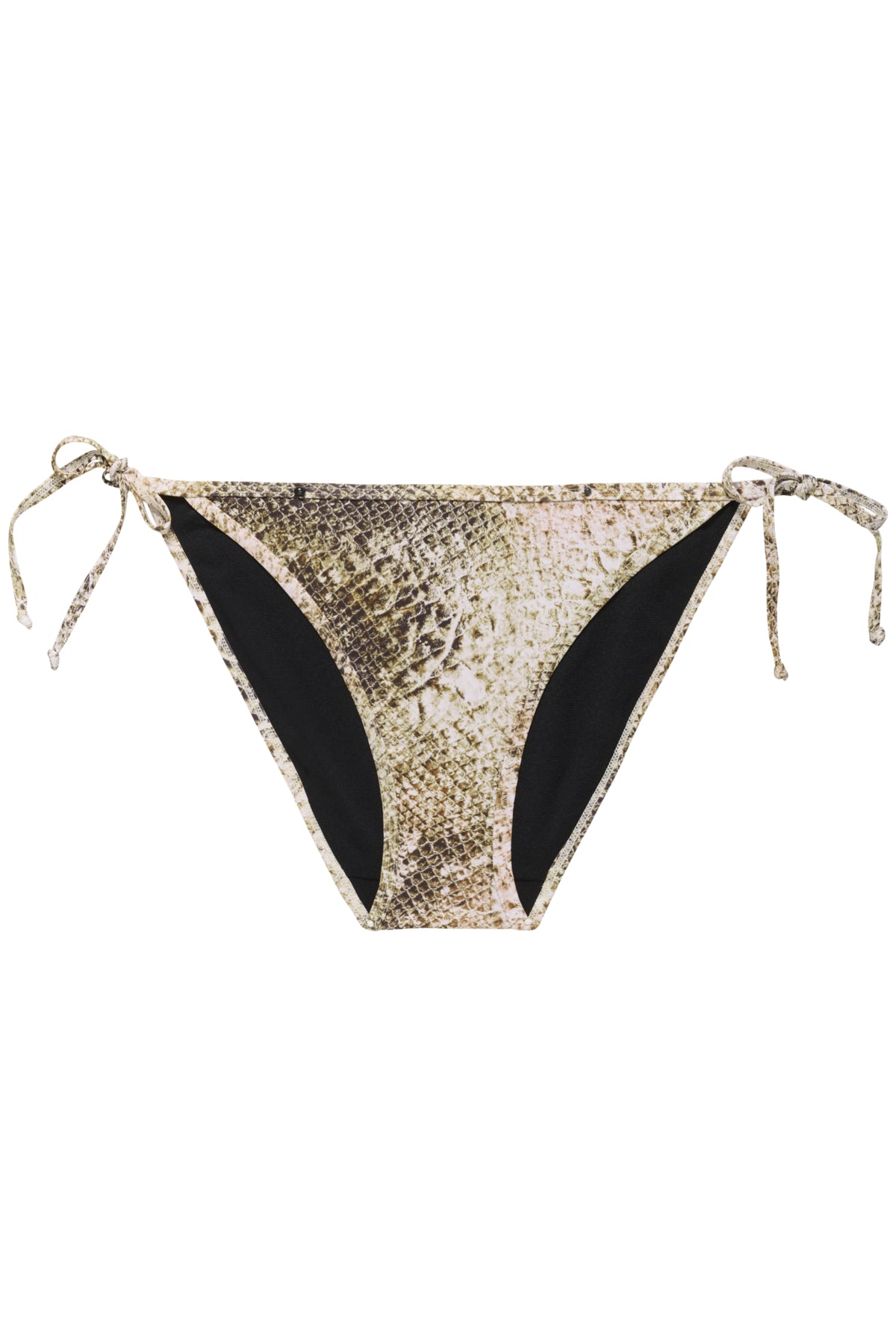 GZsage P bikinitrosa GOLDEN SNAKE