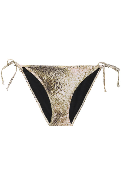 GZsage P bikinitrosa GOLDEN SNAKE Thumbnail