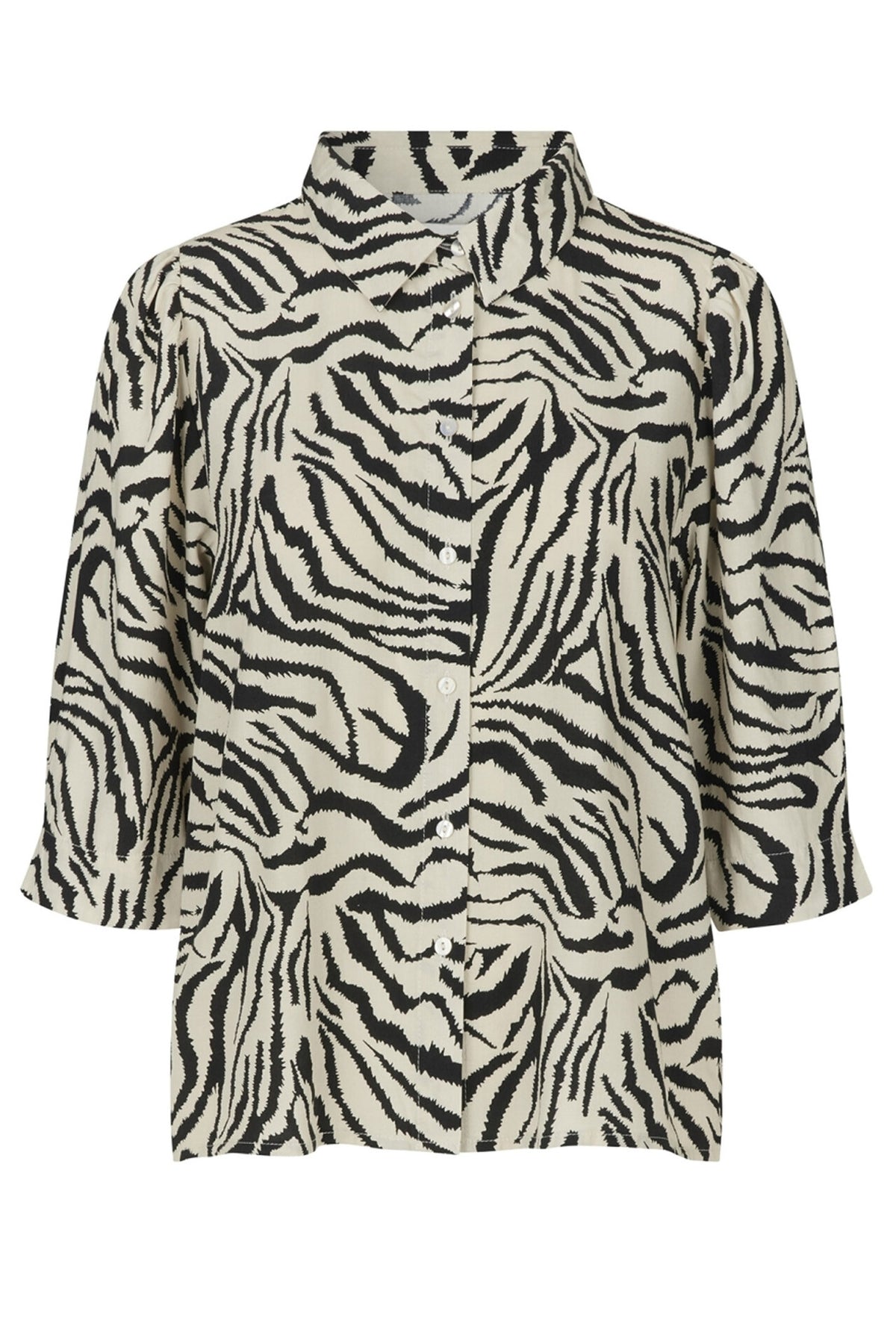 152885Zebra