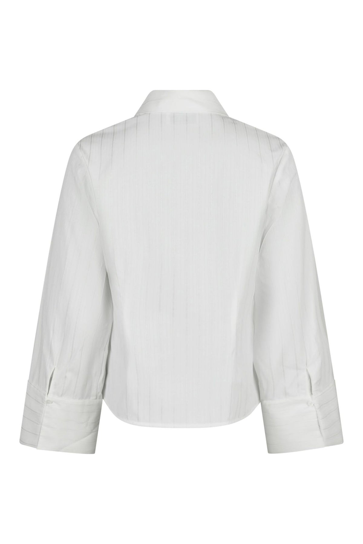 ROSA SOLID Vit - 163652