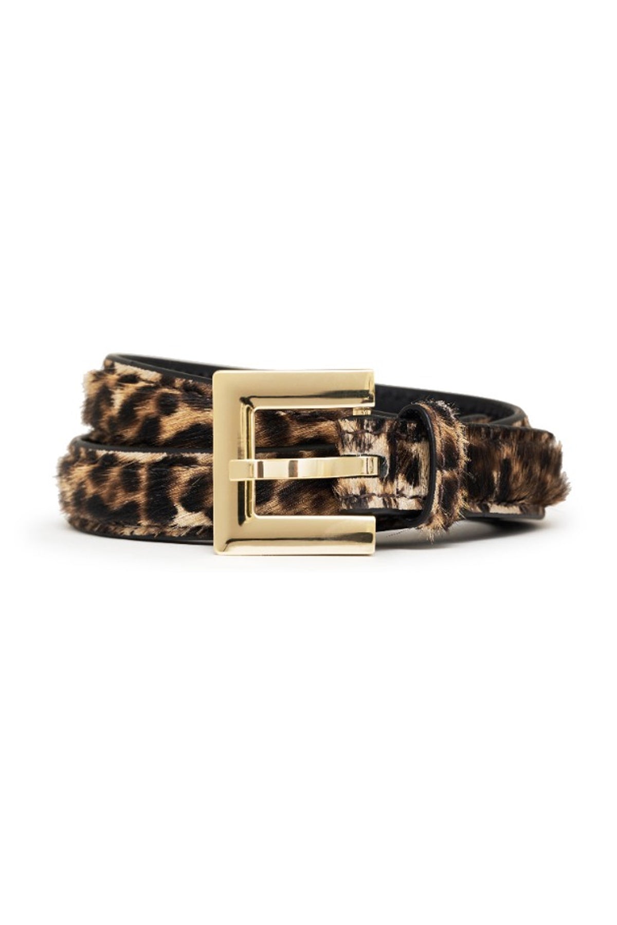 Nicola LEOPARD - A-12-11440