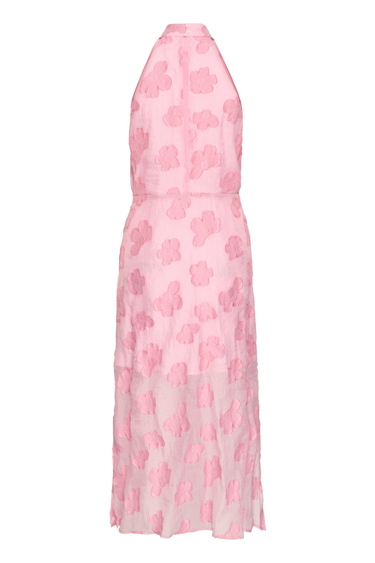 IHXSAGA DR Wild Rose - 20123823