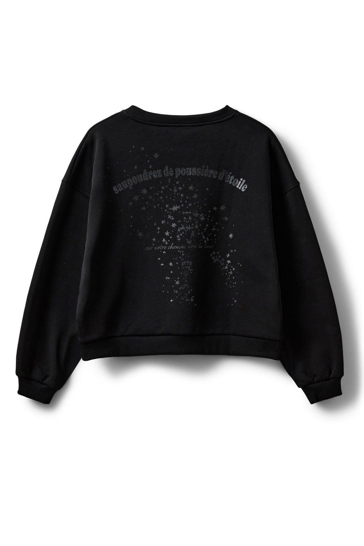 ELINSW SWEATSHIRT 1000 Svart - S254435