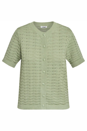 LiBrenda 3400 Spring Green - L5307.2017