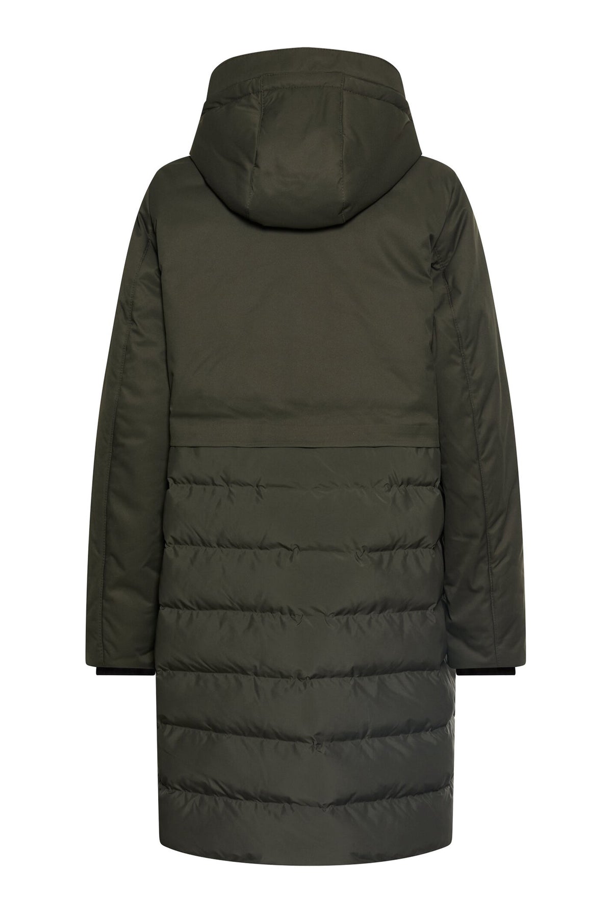 Coats Green - 310904