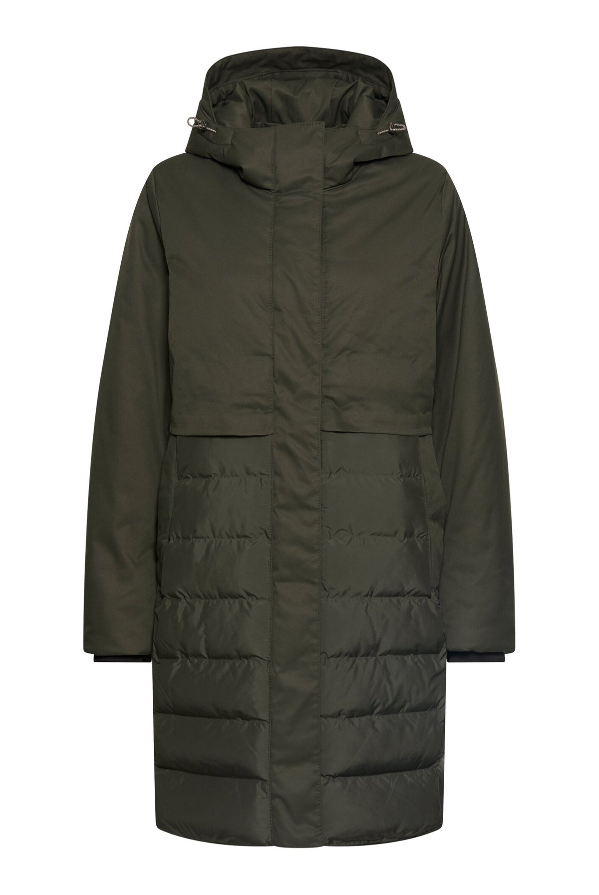 Coats Green - 310904
