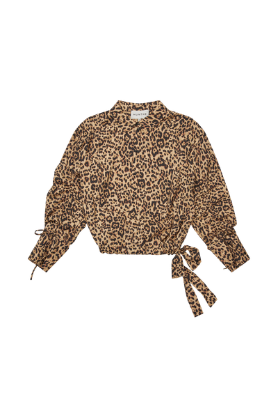 PHEBE 58-Camel - 1013/25222 Thumbnail