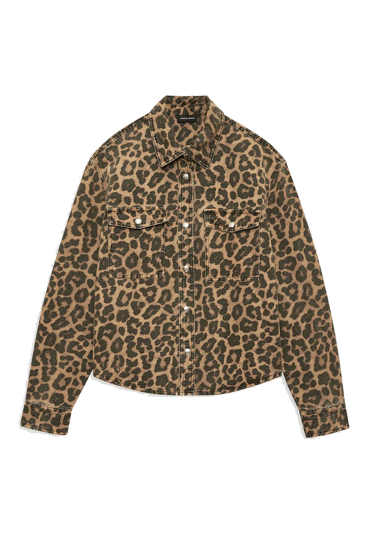 Paxton Brown Leo - A-07-12096